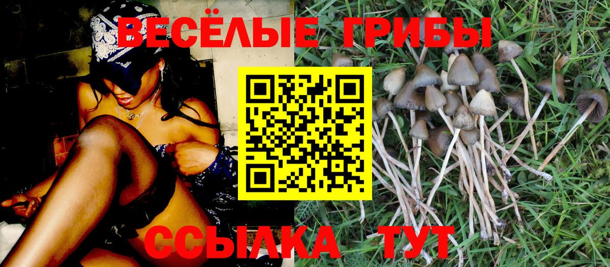 Елец  Псилоцибиновые грибы мицелий  Вход с VPN 